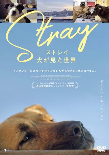 DVD/Blu-ray｜TRANSFORMER